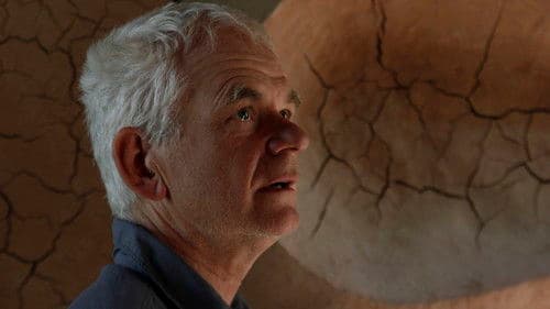 Leaning Into the Wind: Andy Goldsworthy Bild 1