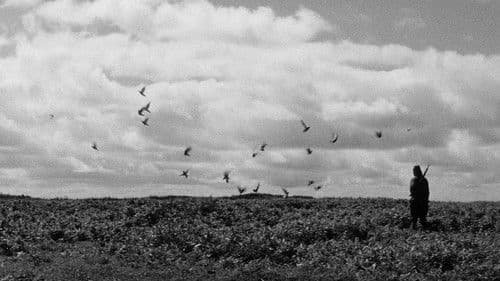 Barfuß durch die Hölle - 3. Teil: ...und dann kam das Ende Bild 1