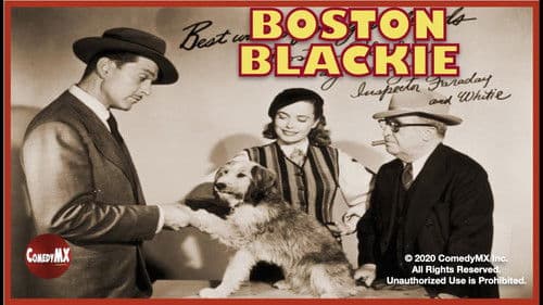 Boston Blackie Bild 1