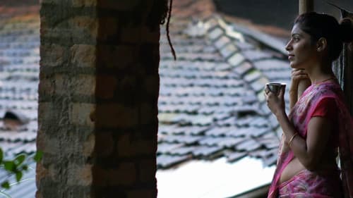 సీత ఆన్ ది రోడ్‌ Bild 1