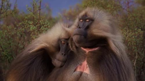 Le royaume des nuages Bild 2