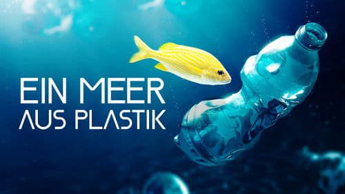 Ein Meer aus Plastik Bild 3