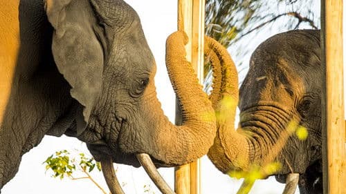 Mind of a Giant Bild 1