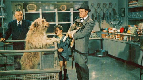 That Certain Feeling Bild 3