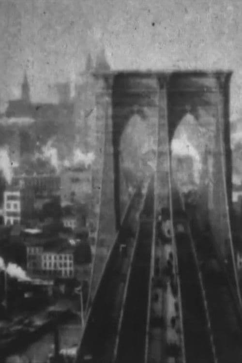 At the Top of Brooklyn Bridge