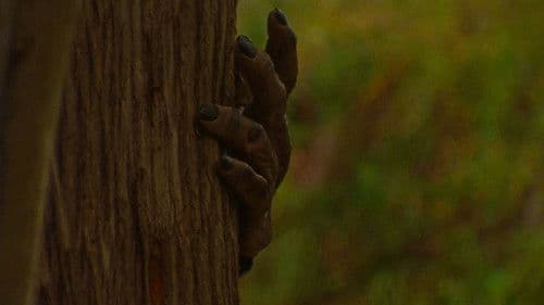 Ride Like Lightning, Crash Like Thunder Bild 1