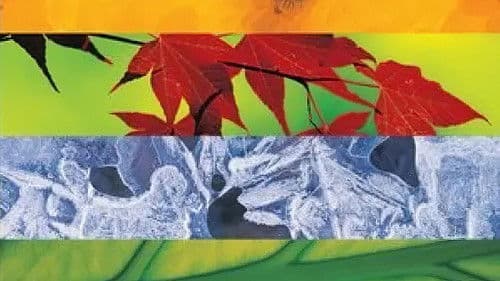 Vivaldi: The Four Seasons Bild 1