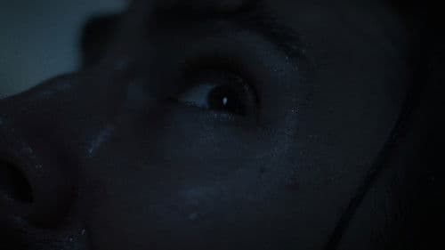 The Dysphoria Bild 7