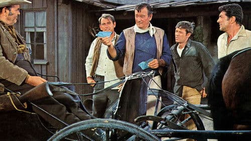 Die vier Söhne der Katie Elder Bild 6