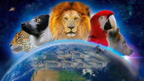 Wundervolle Welt 3D Bild 1