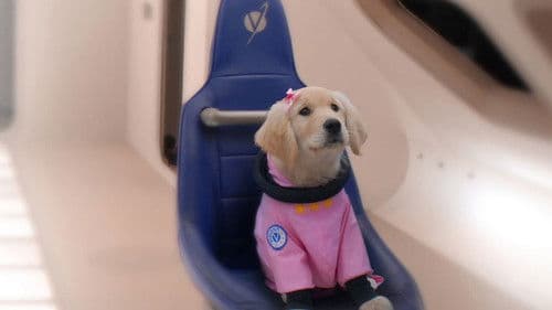 Space Buddies - Mission im Weltraum Bild 6