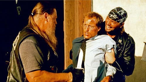 The Sunchaser Bild 3