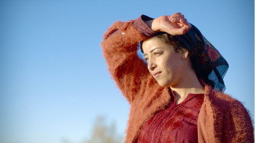 Alle lieben Touda Bild 5