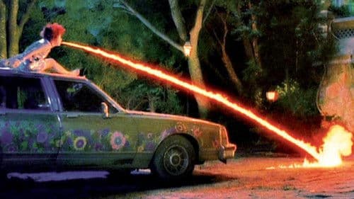 Survive Style Bild 3