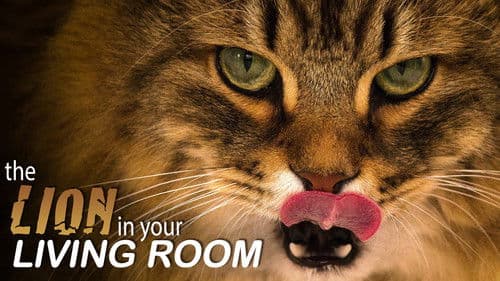 The Lion In Your Living Room Bild 1