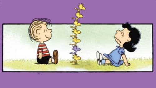 Peanuts Lucy & Friends Bild 1