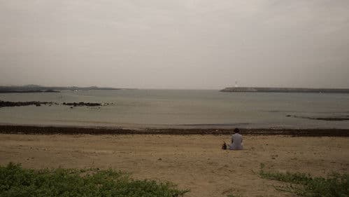 짐작보다 따뜻하게 Bild 1