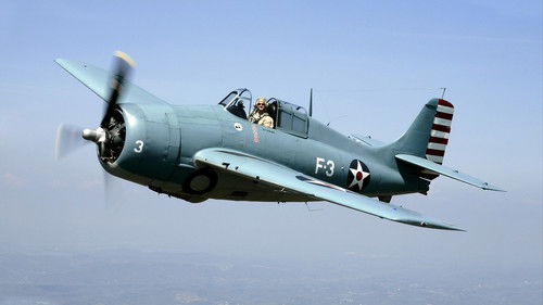 F4F Wildcat Bild 1