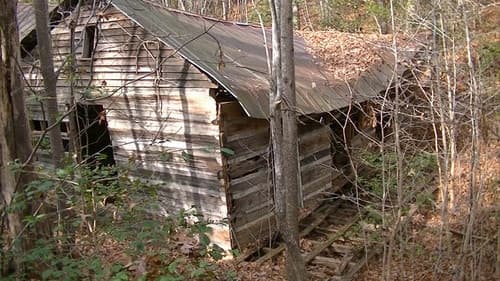 Road to Wadesboro- Evil Dead 2 Locations Bild 1