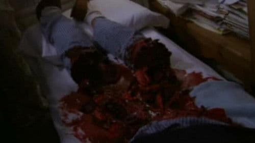 Mega Scorpions Bild 2