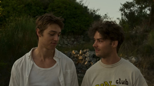 Des oranges en été Bild 3