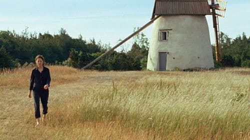 Bergman Island Bild 6