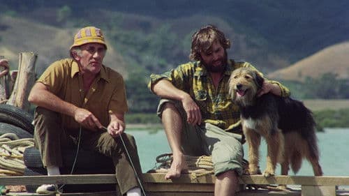 Schlafende Hunde Bild 3