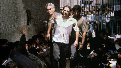 Automne, Octobre À Alger Bild 1