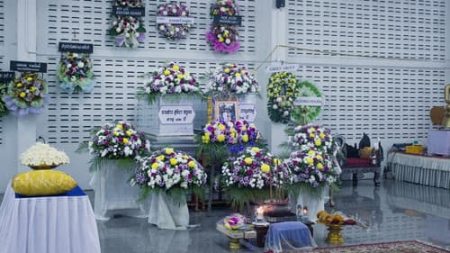 คลื่นทรงจำ Bild 2