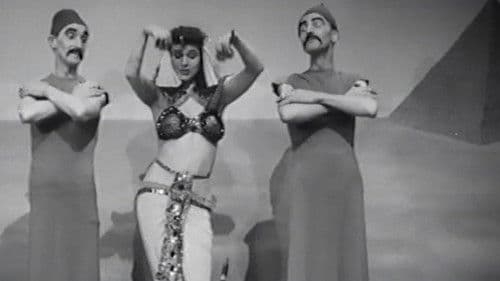 Starlight Serenade Bild 1