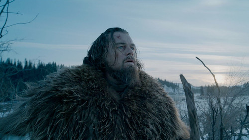 The Revenant - Der Rückkehrer Bild 8