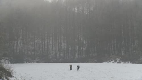 레바논 감정 Bild 2