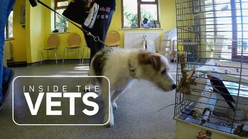 Inside the Vets Bild 1