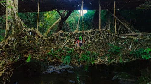 For Tomorrow - the Documentary Bild 1