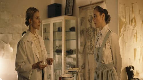 Sockerexperimentet Bild 4