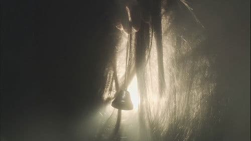 Exte: Hair Extensions Bild 6