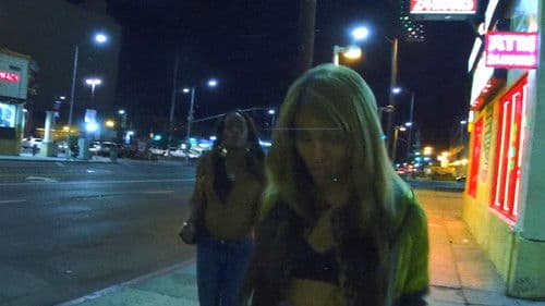 Tangerine L.A. Bild 7