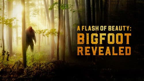 A Flash of Beauty: Bigfoot Revealed Bild 2