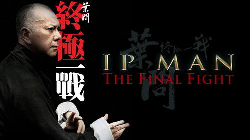 Ip Man - Final Fight Bild 7