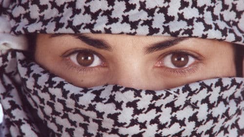 يد إلهية‎ Bild 2