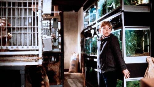 Die schwarze Mamba Bild 5