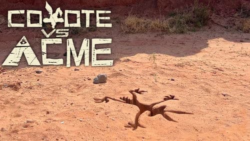 Coyote vs. Acme Bild 2