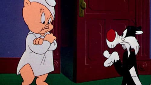 Schwein gehabt Bild 8