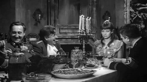 Zwariowana noc Bild 3