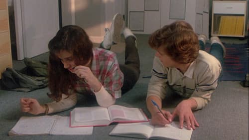 Moving in - Eine fast intakte Familie Bild 8