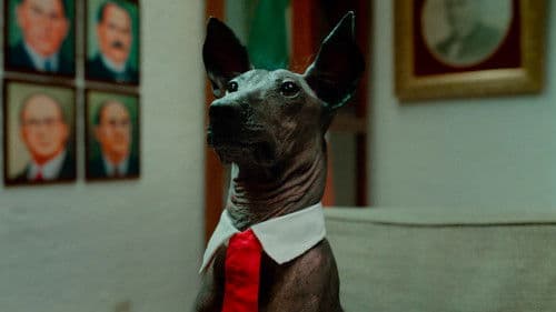 Una Película de Amor y Guerra Bild 4