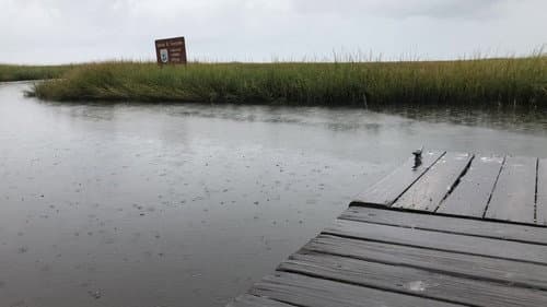 Happy Birthday Hannah Bild 3