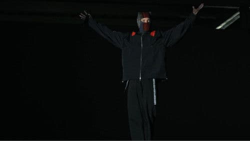 Twenty One Pilots: More Than We Ever Imagined Bild 7