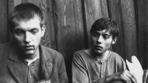 Démanty noci Bild 5