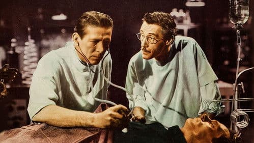 The Face of Marble Bild 1